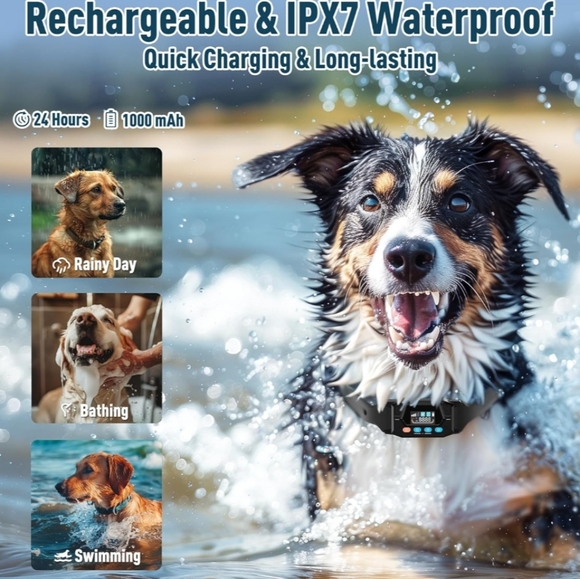 GPS Dog Collar - Picture 9 of 10